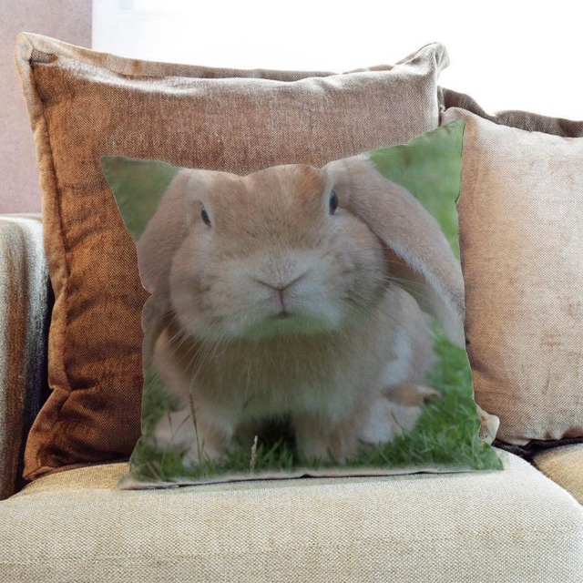 Cute Rabbit Bunny Outdoor Photography - Decorative Pillow Throw Cushion Fabric , Case Cover Or With Filling
