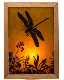 Dragonfly Mica Night Light Rustic Hardwood Frame, Soft Glow