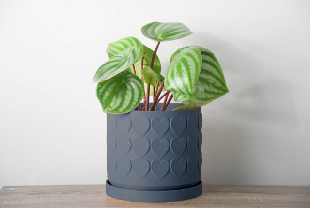 "Heart Planter With Drainage & Saucer in Stone Blue, Cute 3D-Printed Plant Pot, Small To Large Sizes 4"" 5"" 6"" 7"" 8" - image 1