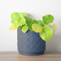 "Heart Planter With Drainage & Saucer in Stone Blue, Cute 3D-Printed Plant Pot, Small To Large Sizes 4"" 5"" 6"" 7"" 8" - thumbnail 3