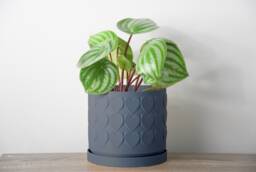 "Heart Planter With Drainage & Saucer in Stone Blue, Cute 3D-Printed Plant Pot, Small To Large Sizes 4"" 5"" 6"" 7"" 8" - thumbnail 1