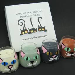 Crazy Cat Lady - Cat Guy Starter Kit Hand-Painted Kitten Mini Soy Container Candle Set - Black Cat, Blue-Grey White & Ginger - thumbnail 2