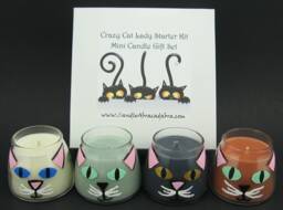 Crazy Cat Lady - Cat Guy Starter Kit Hand-Painted Kitten Mini Soy Container Candle Set - Black Cat, Blue-Grey White & Ginger - thumbnail 1