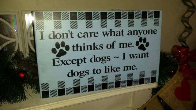 Dog Humor Wood Sign Wall Hanging Buffalo Plaid Decor Lover Gift I Don't Care What Anyone Thinks Of Me Except Dogs Want To Like - image 1