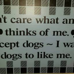 Dog Humor Wood Sign Wall Hanging Buffalo Plaid Decor Lover Gift I Don't Care What Anyone Thinks Of Me Except Dogs Want To Like - thumbnail 3
