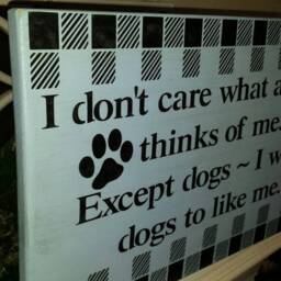Dog Humor Wood Sign Wall Hanging Buffalo Plaid Decor Lover Gift I Don't Care What Anyone Thinks Of Me Except Dogs Want To Like - thumbnail 2