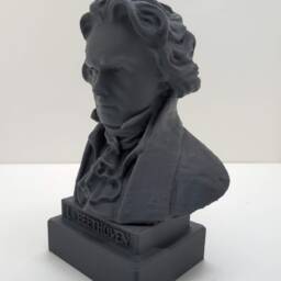 Ludwig Van Beethoven Bust - Ornament Figure Paintable Art Model Figurine Mythical Fantasy Sci-Fi Perfect Unique Geek Gift Him Her 3D - thumbnail 2