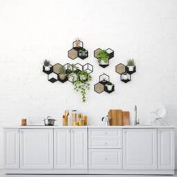 Hexagon Wall Planters Set, Home Plant Decor Inspirations, Ivy Decor, Indoor Trellis, Wall Pot Holder, Plant Decoration
