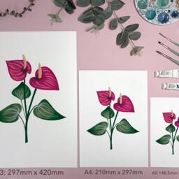 Tropical Flamingo Flower Art Print - Anthurium Houseplant Poster Pink Floral Watercolour Illustration Gift For Gardeners A5, A4 Or A3 - thumbnail 3
