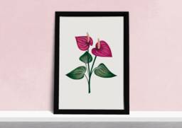 Tropical Flamingo Flower Art Print - Anthurium Houseplant Poster Pink Floral Watercolour Illustration Gift For Gardeners A5, A4 Or A3 - thumbnail 1