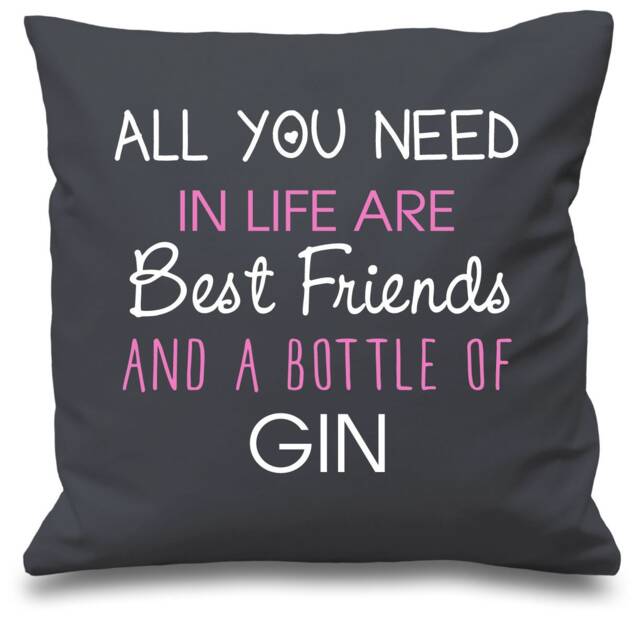 Gin Cushion Cover All You Need in Life Are Best Friends & A Bottle Of Present Gift - image 1