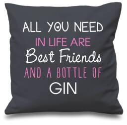 Gin Cushion Cover All You Need in Life Are Best Friends & A Bottle Of Present Gift - thumbnail 1