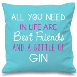 Gin Cushion Cover All You Need in Life Are Best Friends & A Bottle Of Present Gift - thumbnail 2