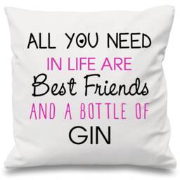 Gin Cushion Cover All You Need in Life Are Best Friends & A Bottle Of Present Gift - thumbnail 3