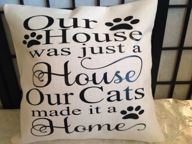 Cat Home