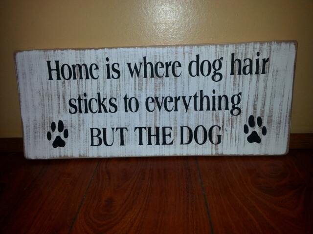 Home Is Where Dog Hair Sticks To Everything But The Wood Sign Distressed Pallet Wall Hanging Reclaimed Rustic Decor Repurposed - image 1