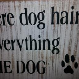 Home Is Where Dog Hair Sticks To Everything But The Wood Sign Distressed Pallet Wall Hanging Reclaimed Rustic Decor Repurposed - thumbnail 3