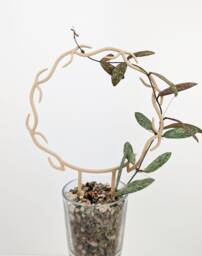 Wreath Trellis - Hoya Houseplant Plant Stake Support