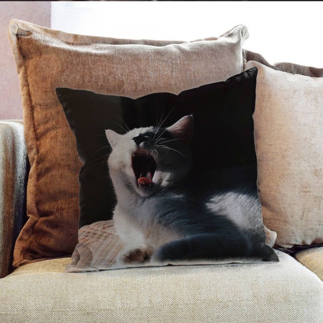 Cat Sleeping Animal Whiskers Photography - Decorative Pillow Throw Cushion Fabric , Case Cover Or With Filling