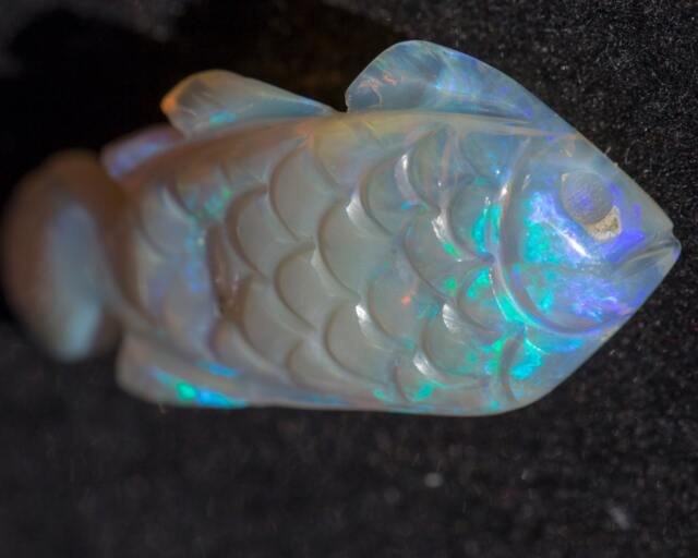 Sale Australian Fish Opal Carving Semi-Blackopal Multicolored Double Sided Rainbow Magic - 19.72 Cts Was 2600 - image 1