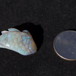 Sale Australian Fish Opal Carving Semi-Blackopal Multicolored Double Sided Rainbow Magic - 19.72 Cts Was 2600 - thumbnail 4