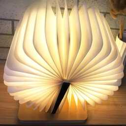 You Do Not Yield Book Lamp, Throne Of Glass Inspired Decor, Fantasy Night Light - thumbnail 3