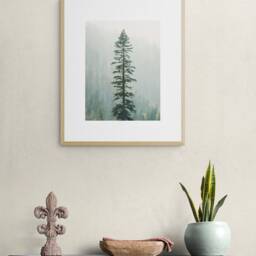 Forest Photography, Alpine Tree, Wilderness Wall Art, National Parks Nature Art Print, Trees - thumbnail 3