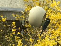 Special Gift Idea - Genuine Ostrich Egg Bird Feeder Unique Accessory To Any Garden