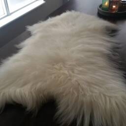Icelandic Sheepskin Rug Soft, Long Wool 100% Natural - thumbnail 3