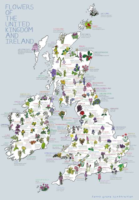Flowers Of The UK & Ireland Print - image 1
