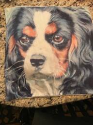 Soulful King Charles Spaniel Pillow Case - thumbnail 1