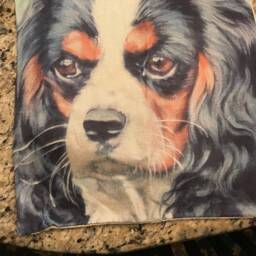 Soulful King Charles Spaniel Pillow Case - thumbnail 2
