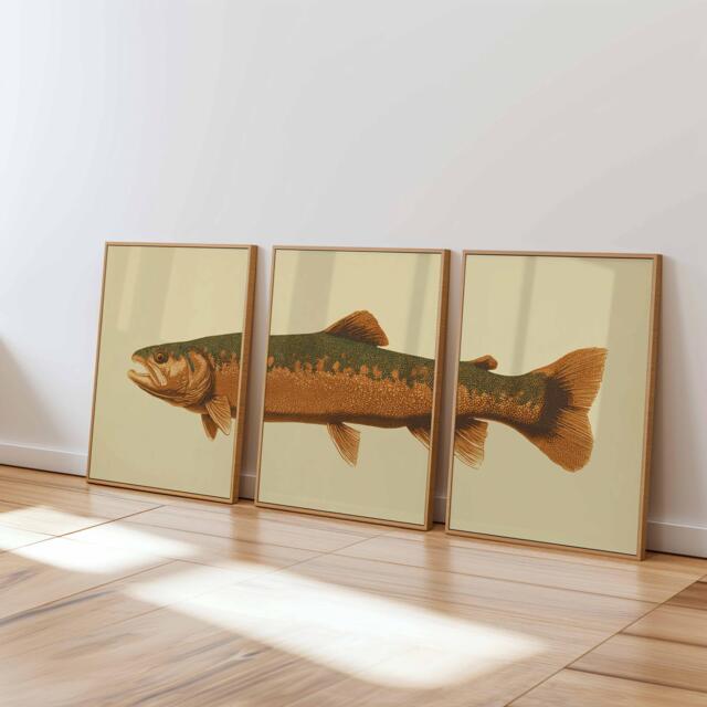 Vintage Trout Wall Art Set Of 3, Rustic Fishing Poster Prints, Antique Nature Illustration Decor, Coastal Cabin - image 1