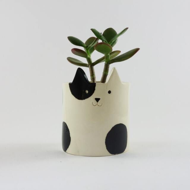 Handmade Ceramic Cat Planter White Pottery With Black Patches - image 1