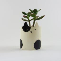 Handmade Ceramic Cat Planter White Pottery With Black Patches