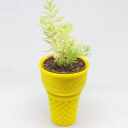 Ice Cream Cone 3D Printed Planter/Vase - Succulent Mini Planter Modern Geometric Design Made To Order Choose Your Color & Size - thumbnail 3