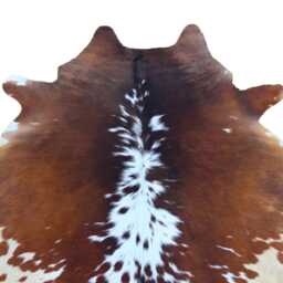 Tricolour Genuine Cowhide Rug - Brown & White Brindle Hair-On Cow Hide Floor Area Skin For Western Home Decor - thumbnail 2