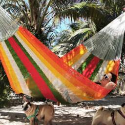 Habanero Hammock Made With Thick Nylon Thread - Traditional Mayan Hammocks Customs Taxes Included - thumbnail 2