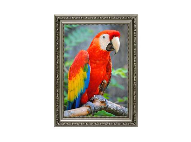 Gunmetal Ornate Picture Frame For 8x10 A4 A3 A5 - Vintage Baroque-Style With Stand Portrait Landscape Photo Art Display Classic - image 1