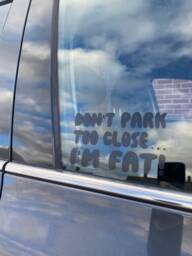 Car Window Vinyl Funny Fat/Chunky Warning Decal Signs. Decoration.don't Park Too Close I'm Chunky - thumbnail 1