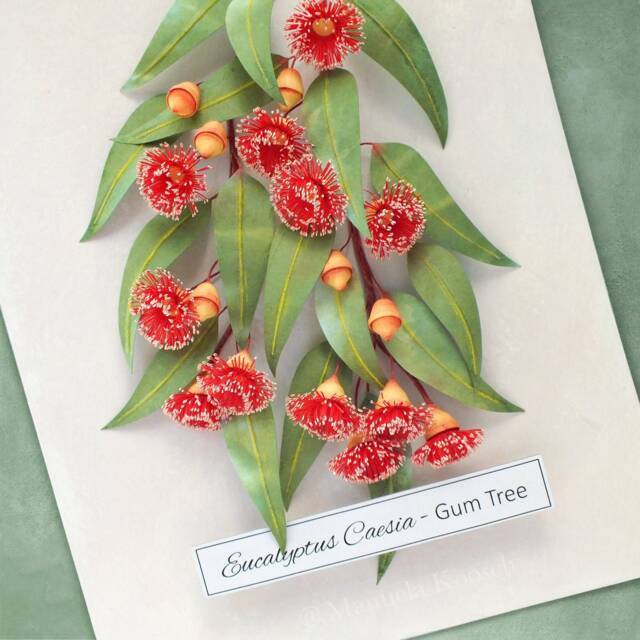 Eucalyptus Gum Tree Wall Art - Red Flowering Gumtree Branch Artwork Australian Native Flowers Botanical Paper Illustration - image 1
