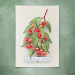 Eucalyptus Gum Tree Wall Art - Red Flowering Gumtree Branch Artwork Australian Native Flowers Botanical Paper Illustration