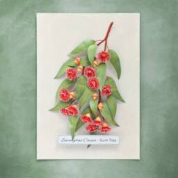 Eucalyptus Gum Tree Wall Art - Red Flowering Gumtree Branch Artwork Australian Native Flowers Botanical Paper Illustration - thumbnail 2