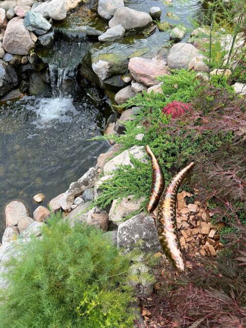 Koi Fish Bronze Sculpture Garden Art Handmade Welded Metal Art Patina Outdoor Garden Decor - image 1