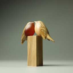Love Robins - 105A - thumbnail 4