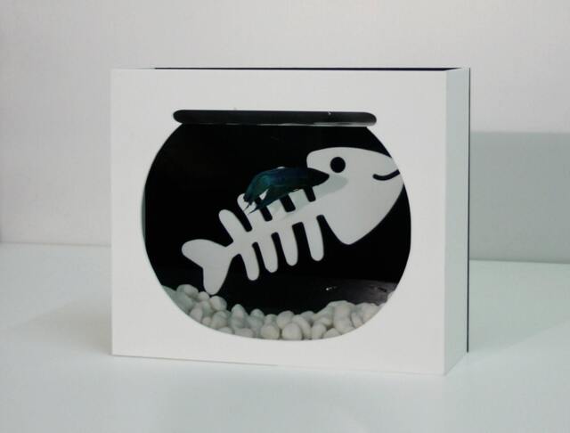 Modern Betta Fish Tank Aquarium - Desktop Aquarium Or Wall Mounted - image 1