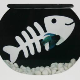 Modern Betta Fish Tank Aquarium - Desktop Aquarium Or Wall Mounted - thumbnail 2