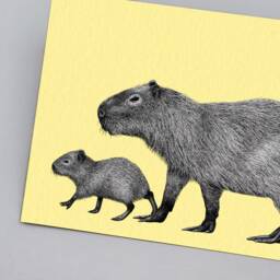 Capybara A4 Art Print // Wall Art, Capybara Gift, Pen & Ink Animal Print, Detailed Wildlife - thumbnail 2