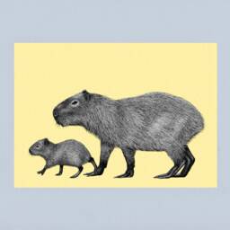 Capybara A4 Art Print // Wall Art, Capybara Gift, Pen & Ink Animal Print, Detailed Wildlife - thumbnail 3