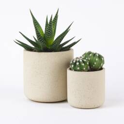 stone Plant Pot - thumbnail 2